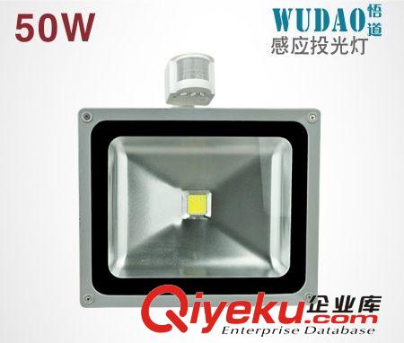 格朗 50W投光燈 LED集成投光燈 廣告投光燈 CE投光燈 廠家直銷(xiāo)