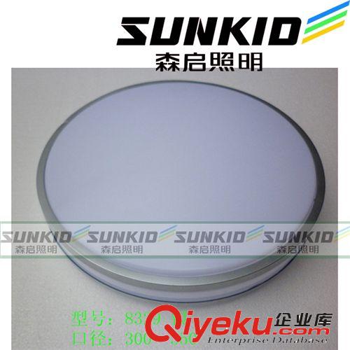 LED吸頂燈 現代時尚亞克力吸頂燈圓形燈臥室陽臺led吸頂燈 天花燈