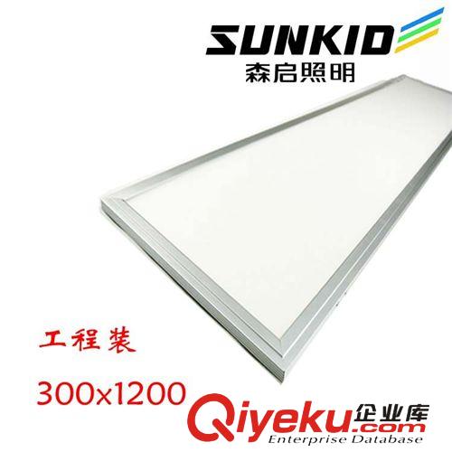 LED面板燈600*1200長(zhǎng)方形工程燈辦公燈平板燈節(jié)能燈40W 廠價(jià)直銷