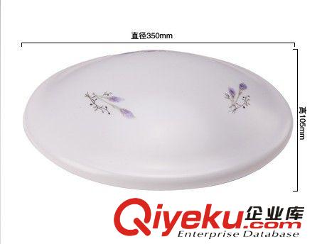 15W led吸頂燈廚衛(wèi)燈走廊過(guò)道浴室衛(wèi)生間現(xiàn)代簡(jiǎn)約亞克力燈飾