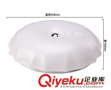 15W led吸頂燈廚衛(wèi)燈走廊過(guò)道浴室衛(wèi)生間現(xiàn)代簡(jiǎn)約亞克力燈飾原始圖片2