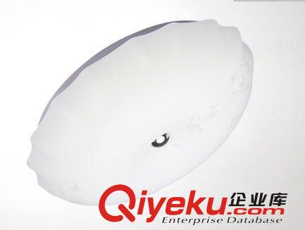 15W led吸頂燈廚衛(wèi)燈走廊過(guò)道浴室衛(wèi)生間現(xiàn)代簡(jiǎn)約亞克力燈飾原始圖片3