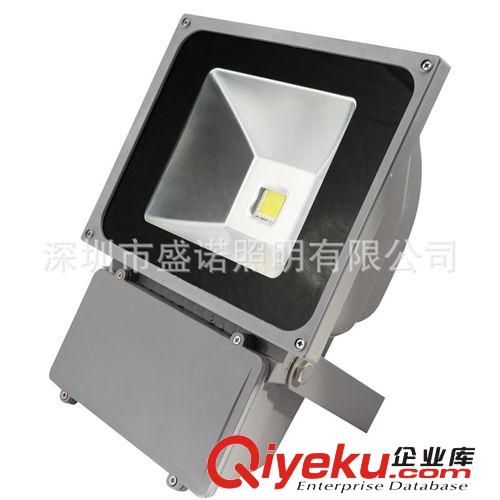 LED 戶外投光燈 廣告燈 照樹燈 照墻燈 10W20W30W50W70W100W