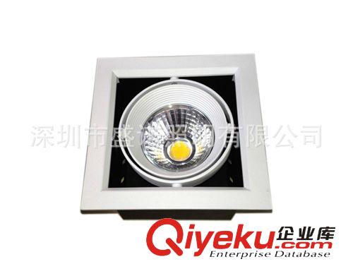 LED格柵燈 COB 24W 雙頭 開孔243*110mm GRILLE LIGHT