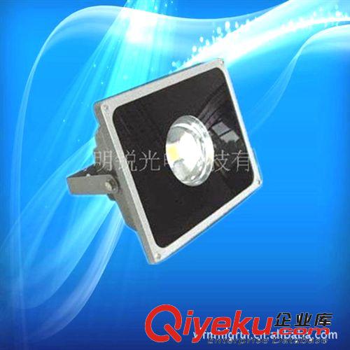 濰坊明銳供應{gx}節能50W大功率LED投光燈
