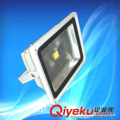 廠家直銷50W大功率高亮度LED投光燈原始圖片2