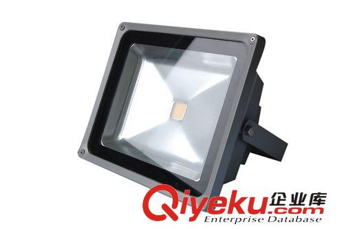 濰坊明銳供應{gx}節能50W大功率LED投光燈原始圖片2