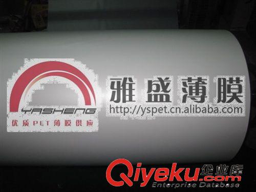供應(yīng)PET乳白色膜_乳白色PET膜_白色PET薄膜原始圖片3