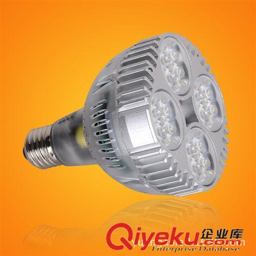 工廠直銷30W LED PAR30射燈35W 40W美國芯高亮超飛利浦金鹵燈70W