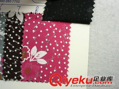 現(xiàn)貨供應(yīng)燙銀各式花型植絨帆布  各種滌棉印花帆布燙銀植絨面料原始圖片3