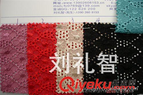 繡花化纖面料里料 適用于各類服裝的棉布網布滿幅刺繡面料（圖）原始圖片3