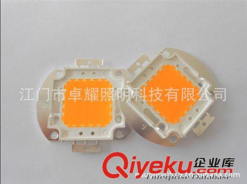 LED集成光源30W黃光，臺灣晶元35MIL芯片，廠家直銷 zyjl原始圖片2