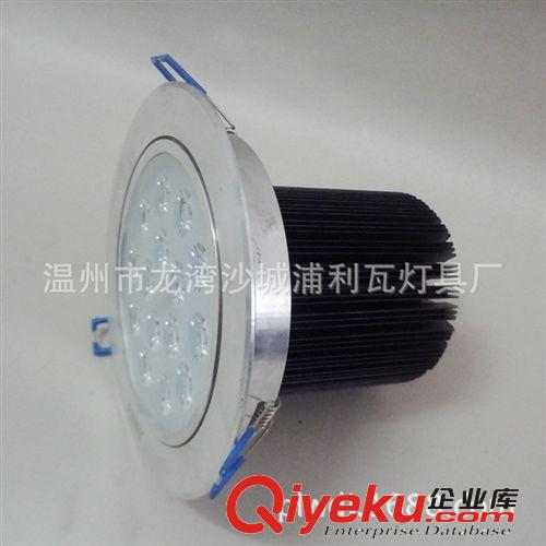 15w18wLED天花燈筒燈高光砂銀開孔135MM220v12v24v48v射燈21/24w原始圖片2
