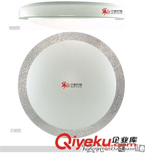 閃銀，閃金亞克力圓形吸頂燈臥室陽(yáng)臺(tái)簡(jiǎn)約款NJ3203原始圖片3
