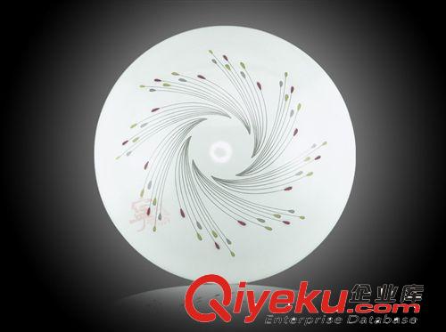 供應(yīng)亞克力吸頂燈led燈陽臺過道燈NJ4007原始圖片2