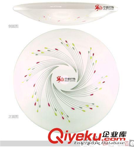 供應(yīng)亞克力吸頂燈led燈陽臺過道燈NJ4007原始圖片3