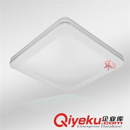 350雙銀線 方形圓形led吸頂燈 吸頂燈簡約大氣廠家直銷原始圖片2