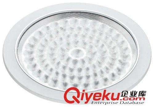 led暗裝明裝廚衛(wèi)燈圓形方形正品LED廚衛(wèi)燈具衛(wèi)生間燈飾3014 14W原始圖片3