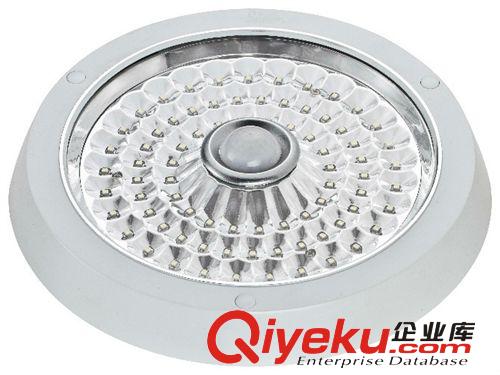 led明裝感應(yīng)（過道燈） 2835led廚衛(wèi)燈集成天花吸頂燈 高亮度 6W原始圖片2