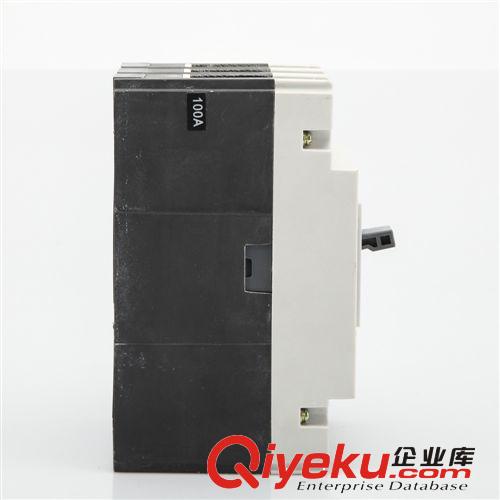 大量專業(yè)生產(chǎn)高品質(zhì)30MA塑殼漏電斷路器 品牌小型斷路器批發(fā)原始圖片2