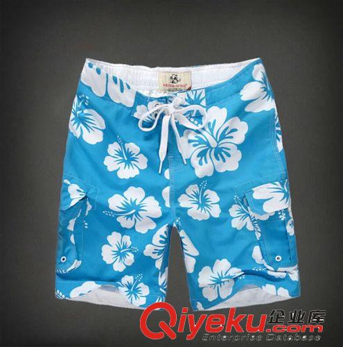 2014新款夏裝男式沙灘褲 時尚潮流花短褲男 藍紅綠黃一件代發批發原始圖片3