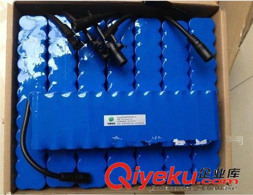 草坪燈 舞臺燈電池組12V 48v 24v 10安足容量消防燈備用電池組