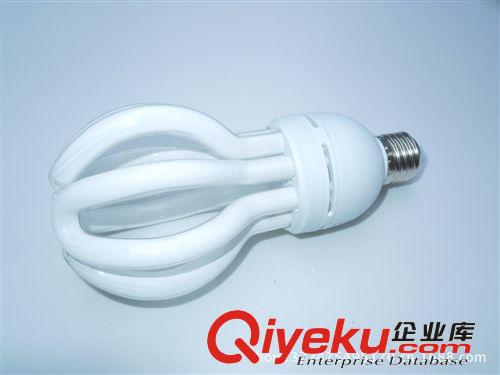 純?nèi)吡炼萓型節(jié)能燈