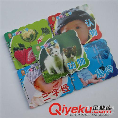 花邊寶寶書 寶寶識(shí)圖書 硬面書 寶寶教育書