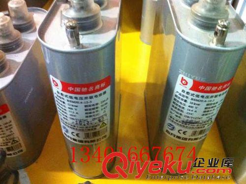 大量現貨批發指月自愈式低壓并聯電容器（三相）BSMJ0.4-12-3