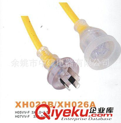 外貿出口澳大利亞SAA認證透明戶外延長線 澳規帶指示燈電源線插頭原始圖片2