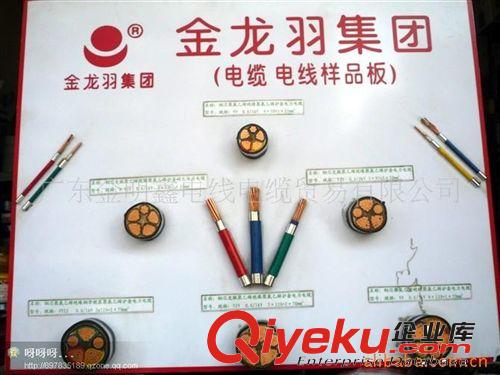 供應電線電纜 金龍羽、成天泰、奔達康、金環(huán)宇ZR NH VV VV22 YJV原始圖片2