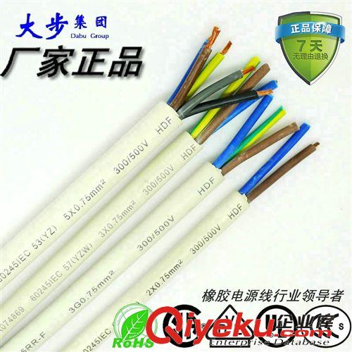 VDE57YZW3*1.0插頭橡膠護(hù)套線