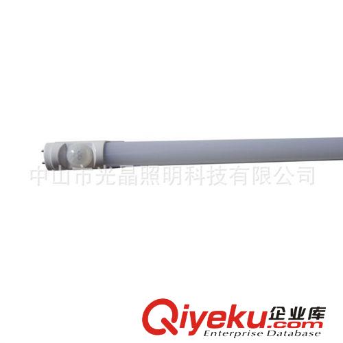 新品微波感應(yīng)LED日光燈全網(wǎng)熱賣中原始圖片2