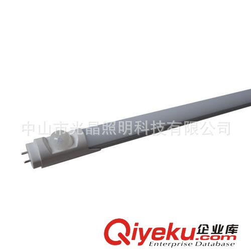 廠家直銷 新款 led T8 日光燈 微波感應(yīng)日光燈 高亮度