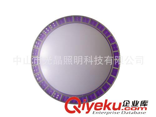 廠(chǎng)家供應(yīng)   現(xiàn)代簡(jiǎn)約吸頂燈  客廳led吸頂燈