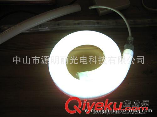 專業(yè)生產(chǎn)高質(zhì)量220V -12VLED柔性霓虹燈 LED燈帶原始圖片3