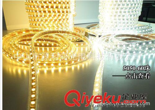 LED燈帶 LED5050燈帶60珠防水 220V LED燈條5050 LED燈帶批發(fā)