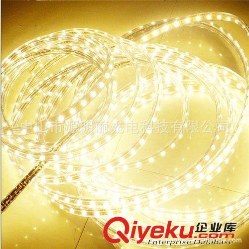 【專業(yè)品質(zhì)］廠家直銷LED燈帶 批發(fā)ELD燈條，防水220V60珠燈帶