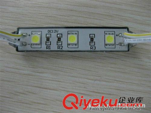 加工定做LED發(fā)光模組/LED3燈5050防水模組