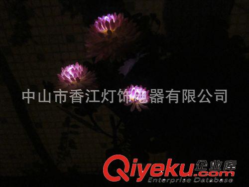 廣東太陽能花燈工廠、太陽能LED菊花燈、LED仿真花、太陽能草坪燈