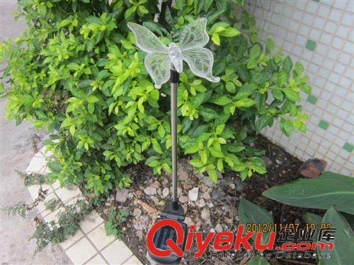 供應(yīng)太陽(yáng)能仿真雀鳥、LED太陽(yáng)能草坪燈/發(fā)光報(bào)喜鳥、花園燈原始圖片3