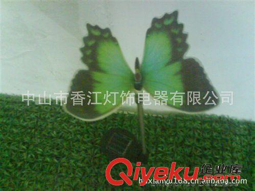 供應(yīng)太陽(yáng)能防真花 花園燈 太陽(yáng)能草坪燈、光纖蝴蝶燈原始圖片2