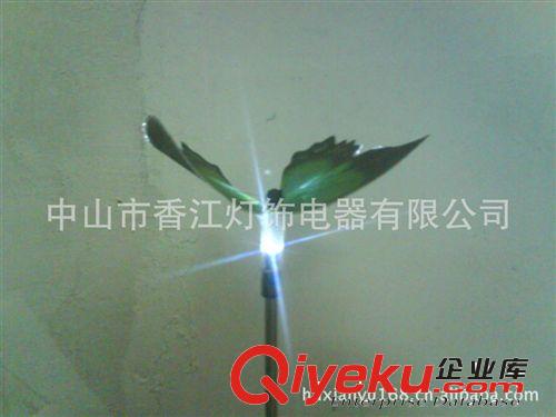 供應(yīng)太陽(yáng)能防真花 花園燈 太陽(yáng)能草坪燈、光纖蝴蝶燈原始圖片3