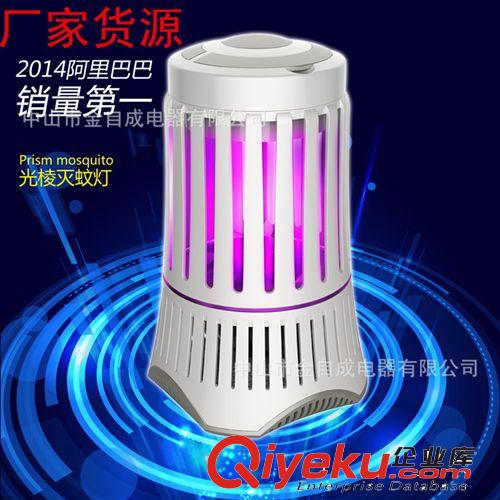 廠家批發(fā)LED新款節(jié)能滅蚊燈 家用滅蚊器 光觸媒電子 一件代發(fā)原始圖片3