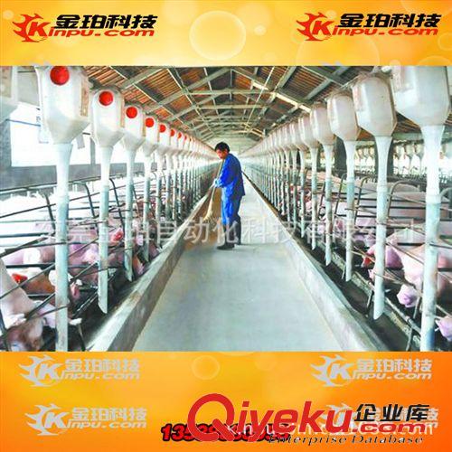 養(yǎng)豬設(shè)備 自動上料系統(tǒng) 養(yǎng)豬自動飼喂料線原始圖片2