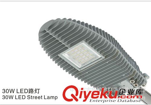 led路灯厂家专业生产 新款led路灯 led照明路灯 小区路灯