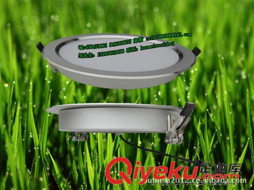 中山LED筒燈3W 3寸LED筒燈 天花LED筒燈 2835LED筒燈 原廠直銷原始圖片2