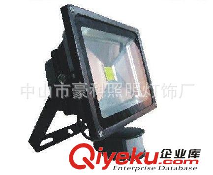 直流12V-24V10W通用LED泛光燈zg太陽能電池用低壓10WLED泛光燈