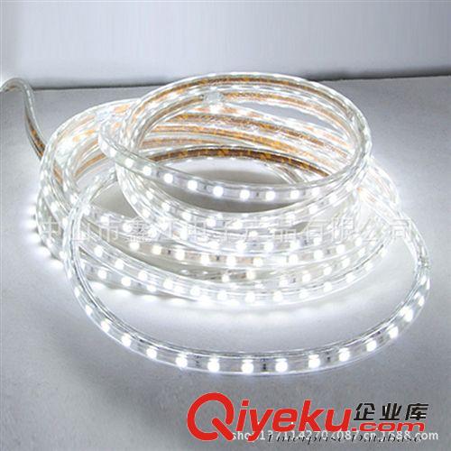 【熱銷款】5050 12V軟燈帶 60珠防水LED燈帶 LED燈帶燈條原始圖片3