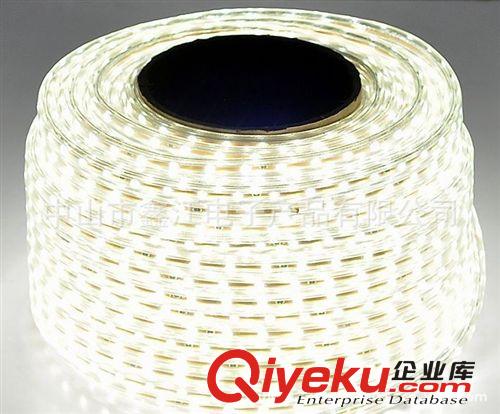 廠家直銷 led燈帶批發(fā) led燈條 led3528貼片 防水 12V原始圖片2